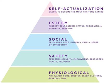 Effect of virtual group EcoMeditation on psychological conditions and flow states